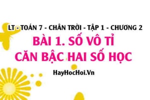 Căn bậc hai số học là gì, Khái niệm Số vô tỉ, Cách tính căn bậc hai bằng máy tính? Toán 7 Bài 1